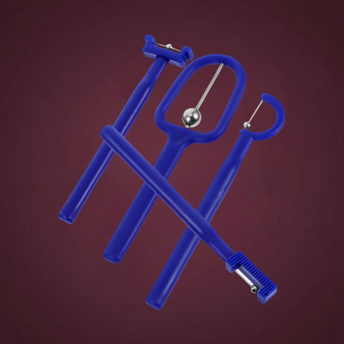 AM_PT005